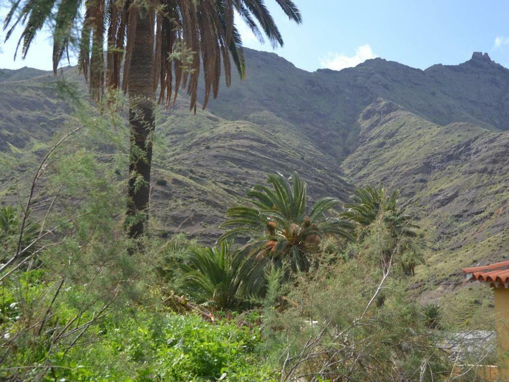 Casa Los Palmeros Perdomo Alojera Luaran gambar